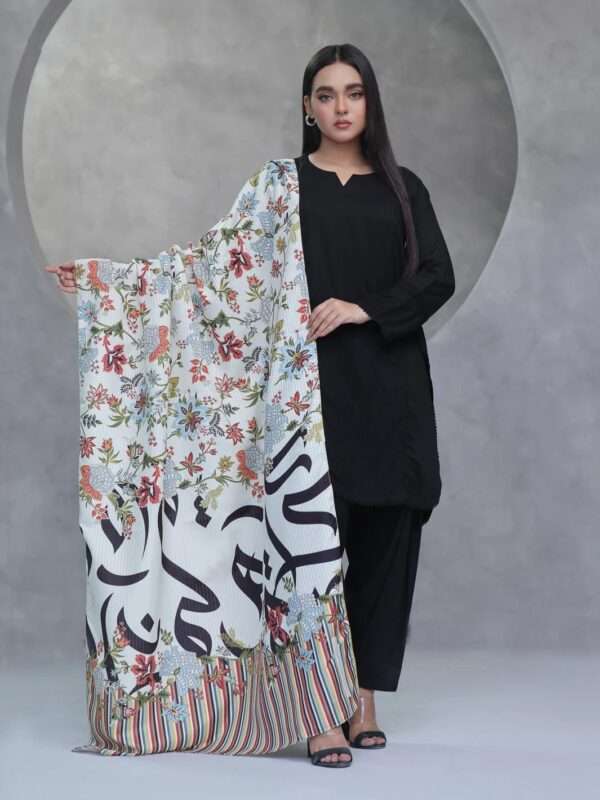 Shadab Shawl - Image 3