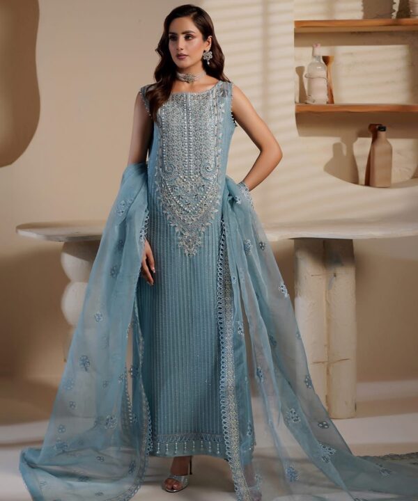 Maryam’s Ice Blue Embroidered Organza dress