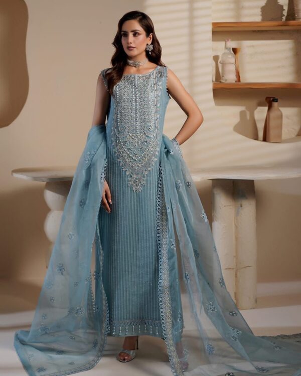 Maryam’s Ice Blue Embroidered Organza dress