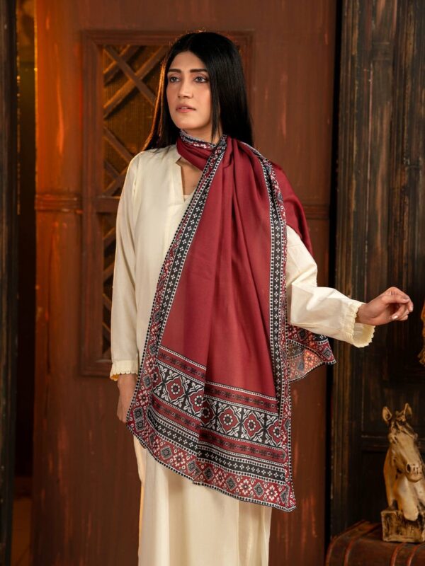 Ajrak Mosaic Stole | Redish