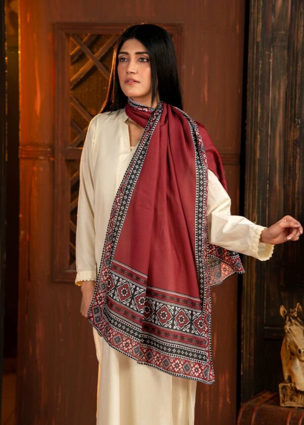 Ajrak Mosaic Stole | Redish