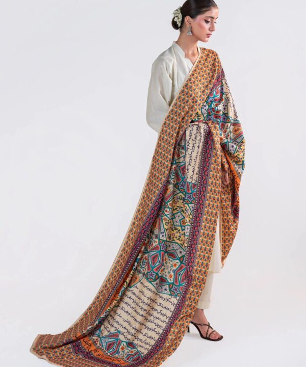 Raahi Lawn Odhni