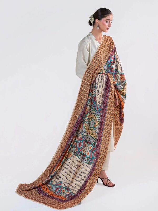Raahi Lawn Odhni