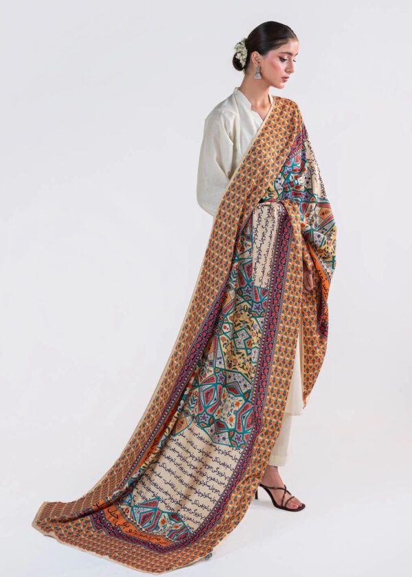 Raahi Lawn Odhni