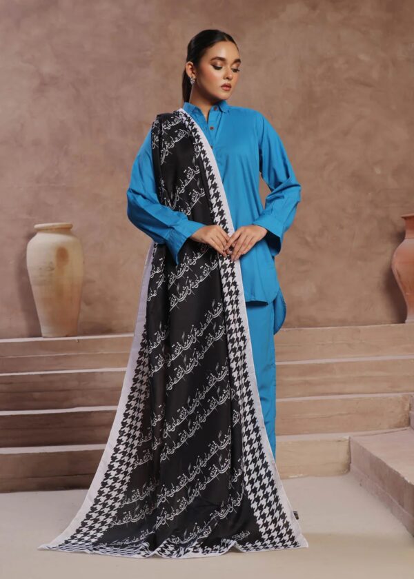 Sham Black Lawn Odhni