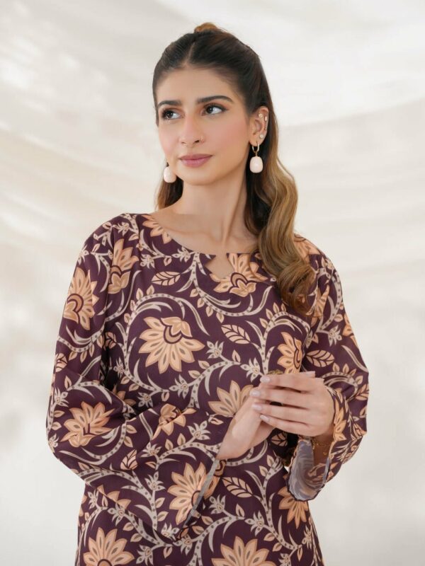 Mahjabeen Co-Ord Set (Maroonish)