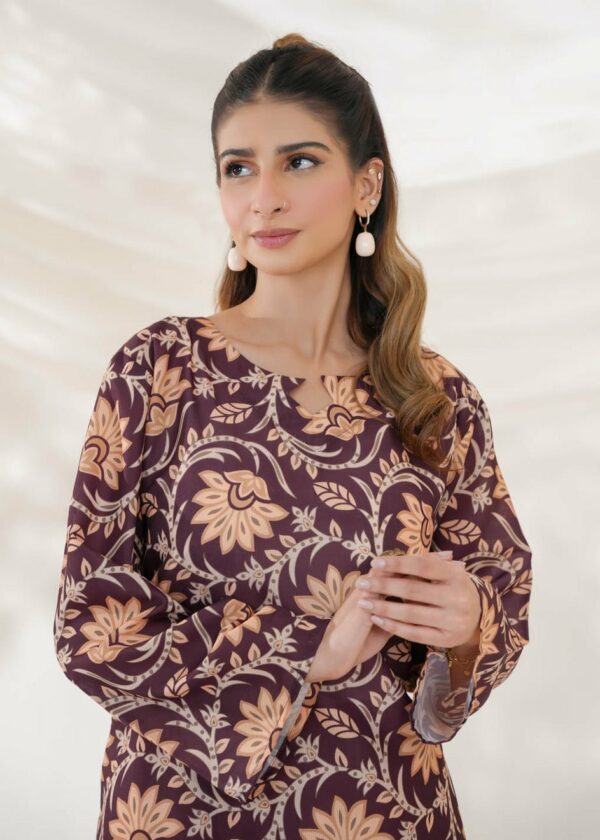 Mahjabeen Co-Ord Set (Maroonish)