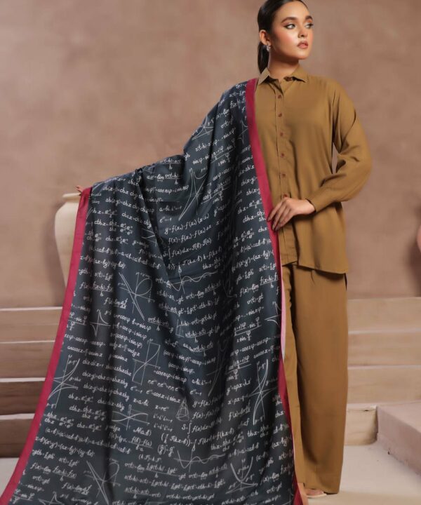 Maths Voile Dupatta