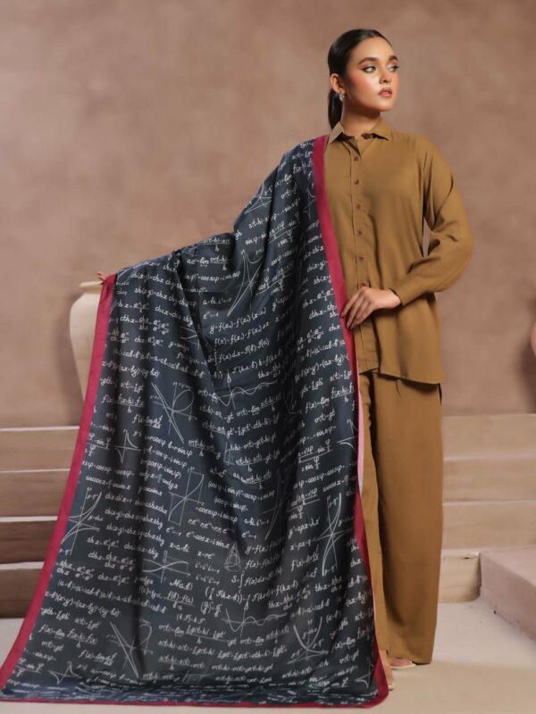 Maths Voile Dupatta