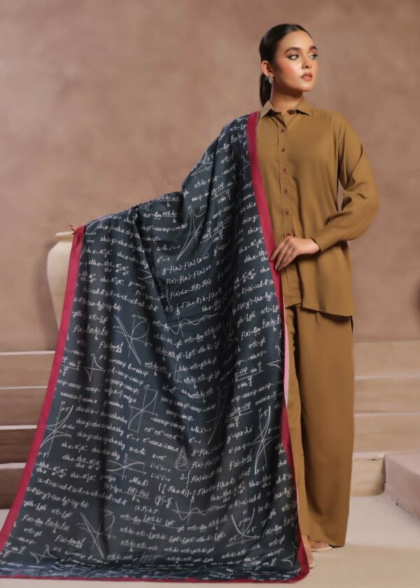 Maths Voile Dupatta