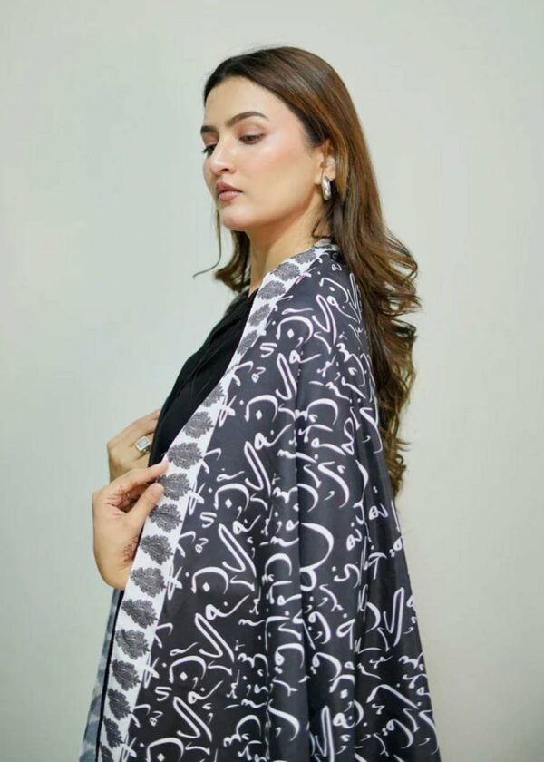 Be Qaida Silk Dupatta (Black)