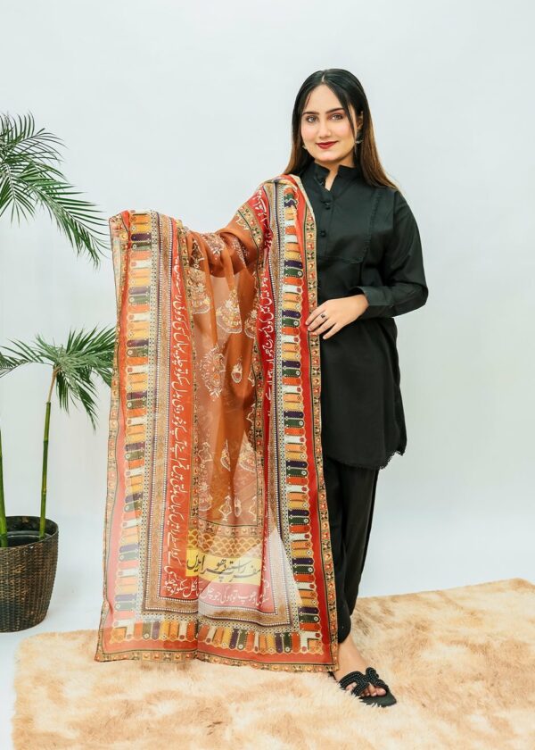 Safar Premium Silk Dupatta (Brown)
