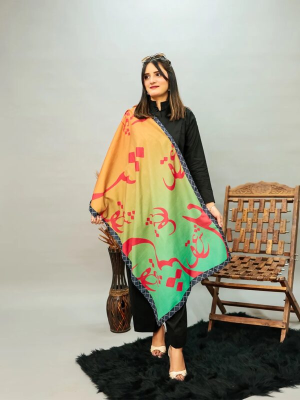 Ain se Ishq (pink) Stole