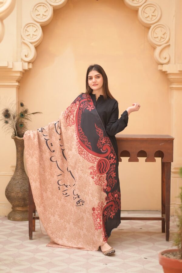 Nigaahein Voile Dupatta (Skin)