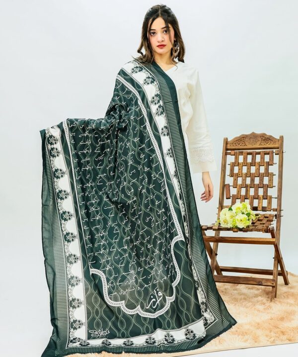Sitara Falak Dupatta(Black)
