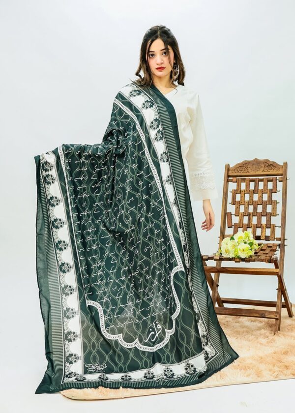 Sitara Falak Dupatta(Black)