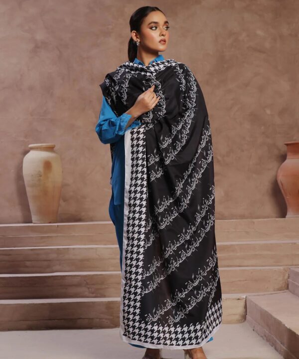 Shaam Voile Dupatta (Black)