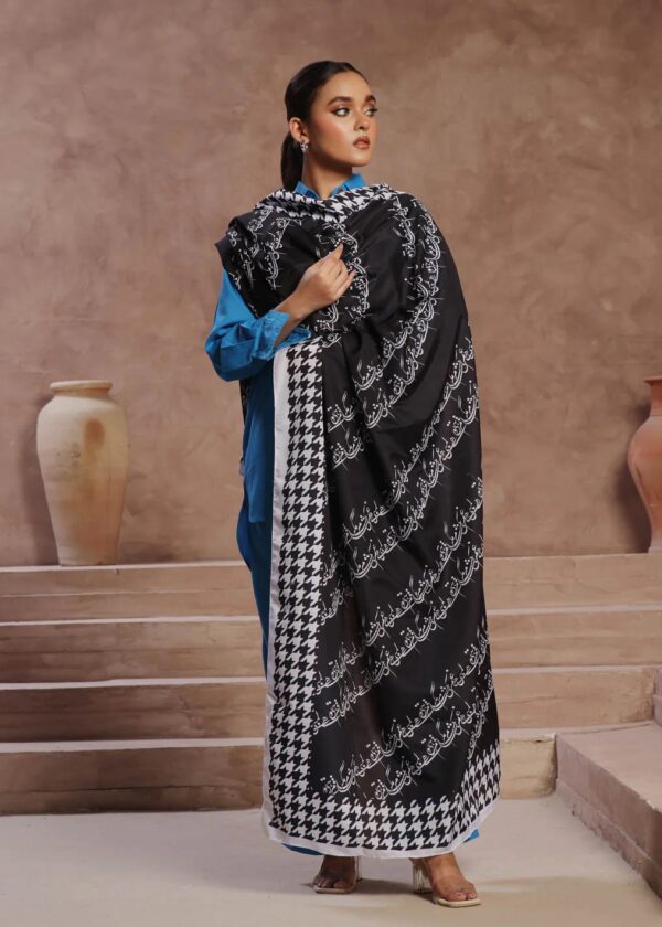Shaam Voile Dupatta (Black)