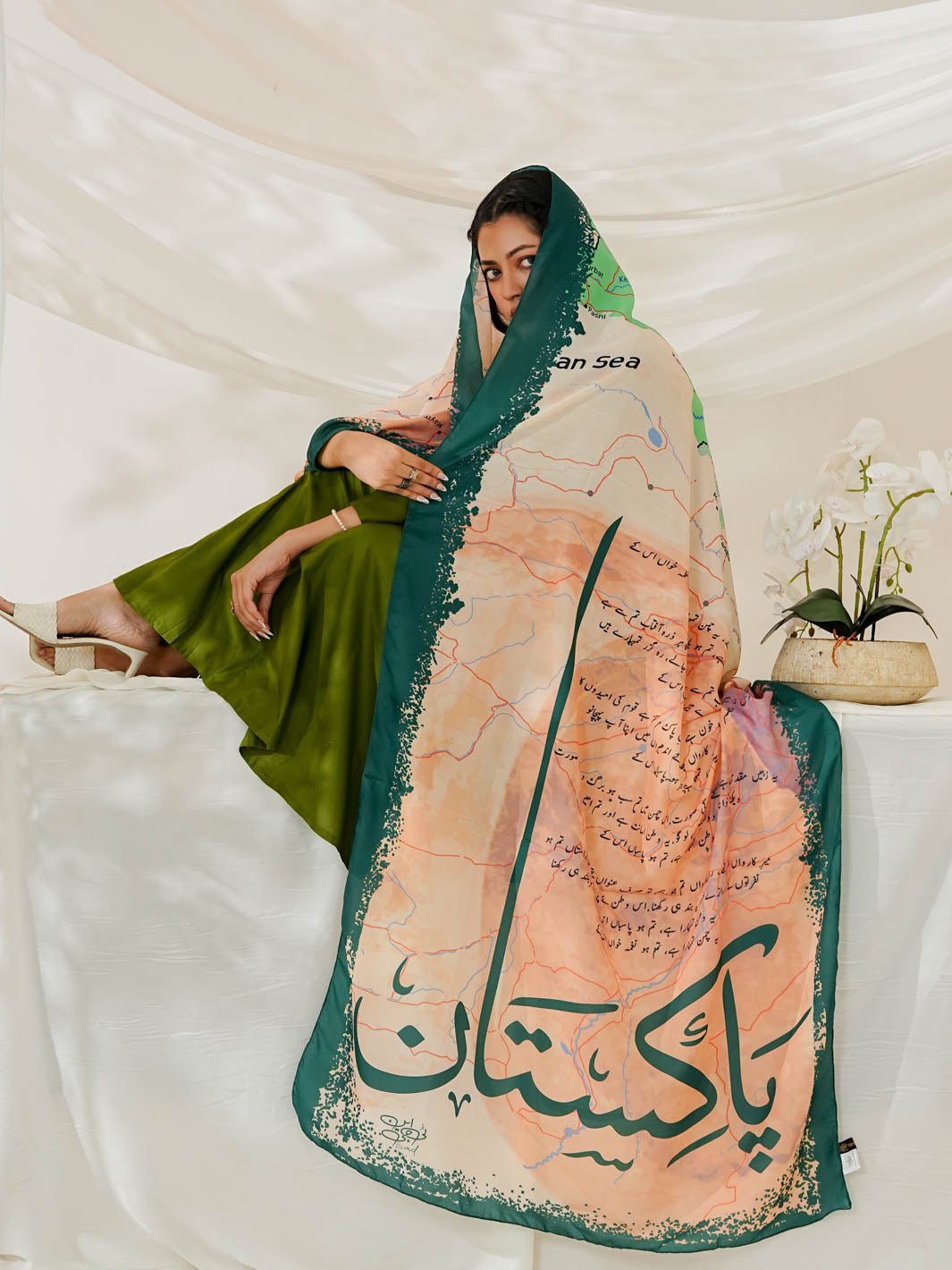 Arz e Pakistan Odhni (Off White) - Image 4