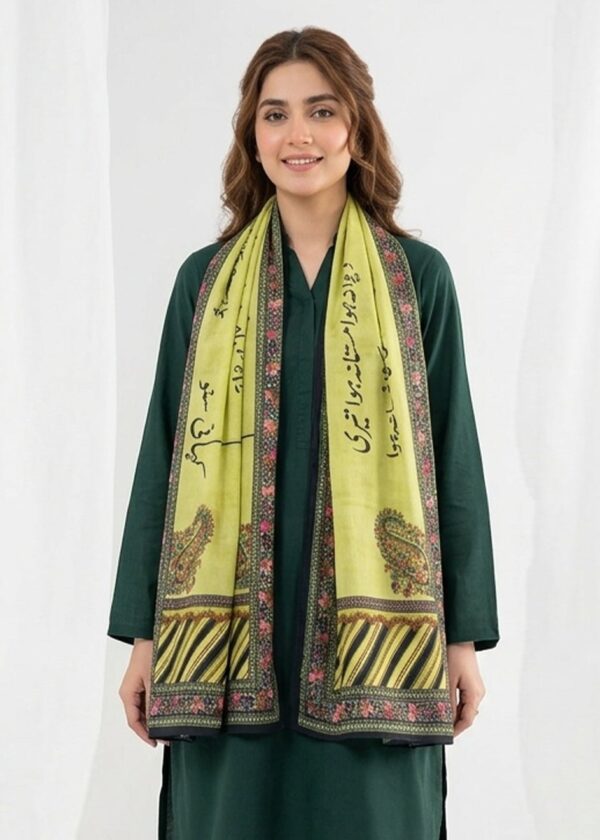 Kahani Suno Stole (Green)