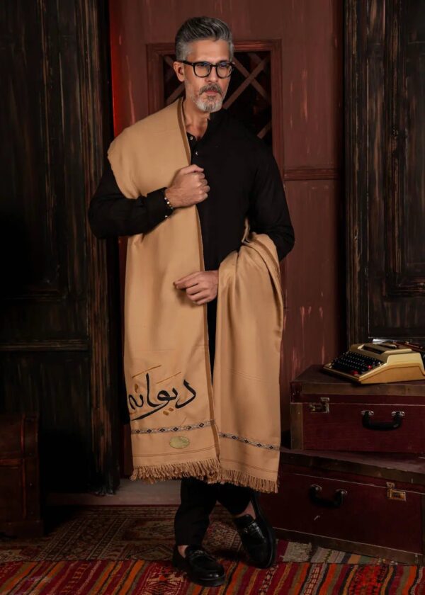 Deewana Shawl | Embroidered | Brown