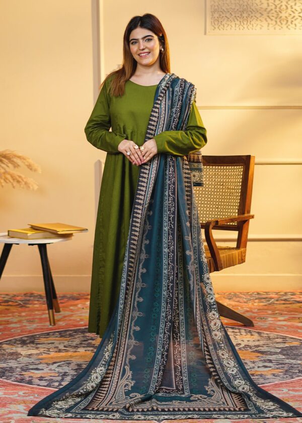 Hubb E Watan Stole
