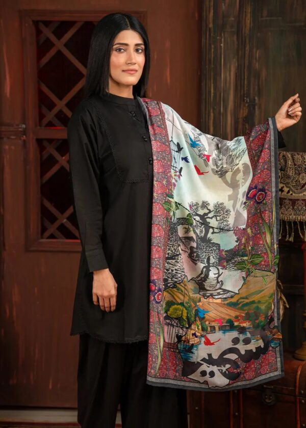 Azad Kashmiri Stole
